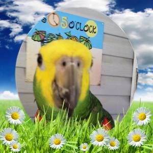 Meet your Posher, Judy